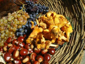 Ottobrata 2019: castagne, funghi e mele