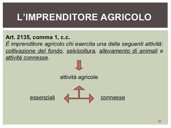 imprenditore agricolo: art. 2135 